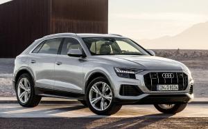 Audi Q8 50 TDI Quattro 2018 года (WW)